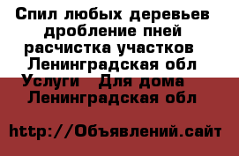 Спил любых деревьев, дробление пней, расчистка участков - Ленинградская обл. Услуги » Для дома   . Ленинградская обл.